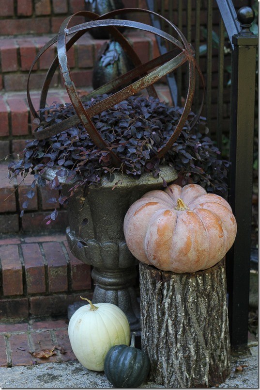 Southern Living plant collection for fall